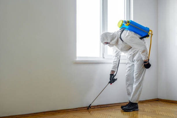 Best Fumigation Services  in Laurel Hill, VA